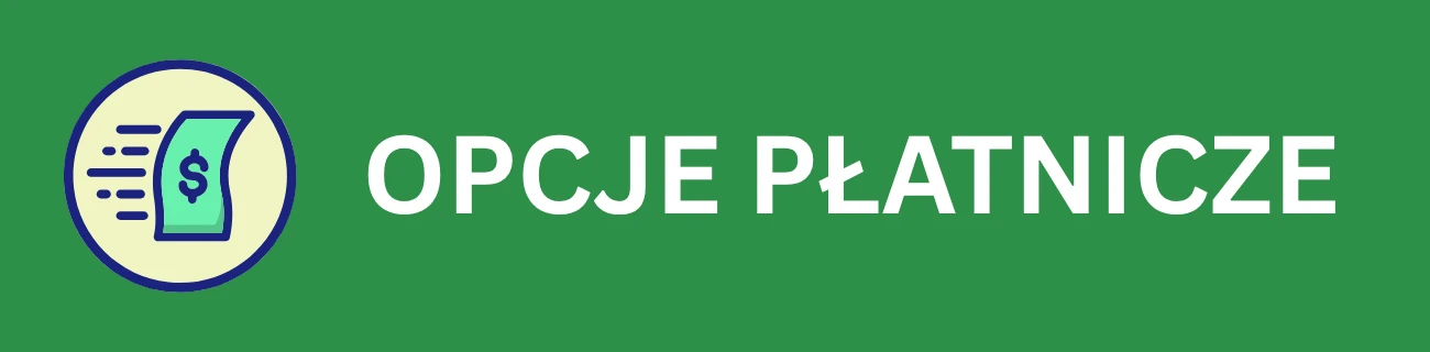 20Bet opcje płatnicze