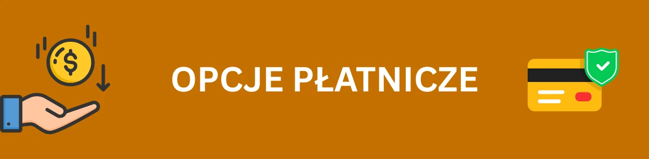 RioAce opcje płatnicze