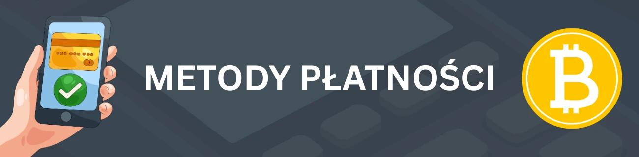 DudeSpin Metody płatności